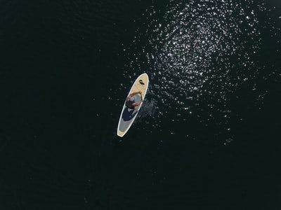 水体上的黑白冲浪板